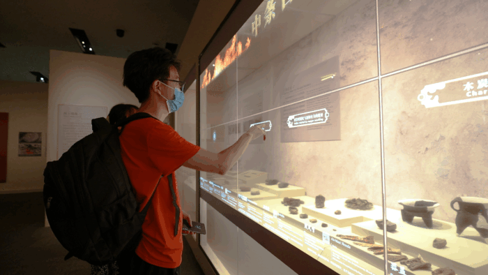 数字化展示技术在博物馆中的应用与未来